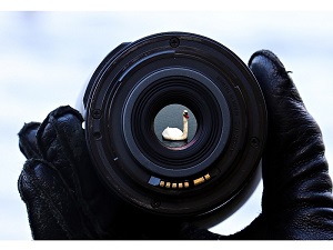 Photo Site 500PX Hit With Data Breach Recently