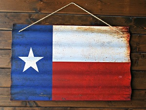 Texas Government Gets Hit With Major Ransomware Attack