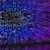 Cyber Hygiene: Simple Steps To Stay Secure