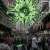 SpamGPT Makes Mass Cyberattacks Easier Than Ever